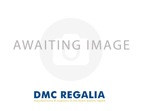 DMC Regalia Craft Skeleton Minute Book
